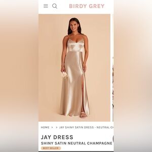 Birdy grey neutral champagne jay maxi dress NWT